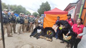 matracas de quirquincho y chuncheras decomisadas en el carnaval de Oruro