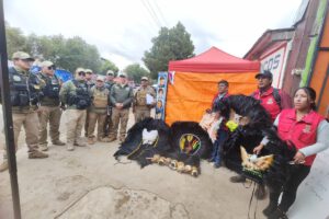 matracas de quirquincho y chuncheras decomisadas en el carnaval de Oruro
