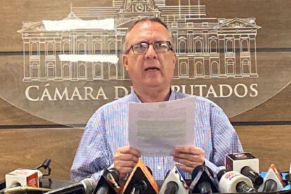 El diputado