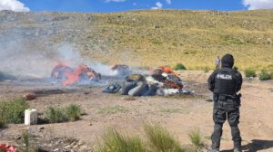 Incineración de droga en Capachos