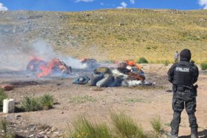 Incineración de droga en Capachos