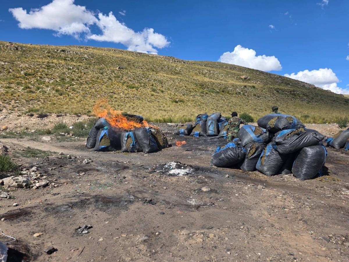 Incineración de droga en Capachos