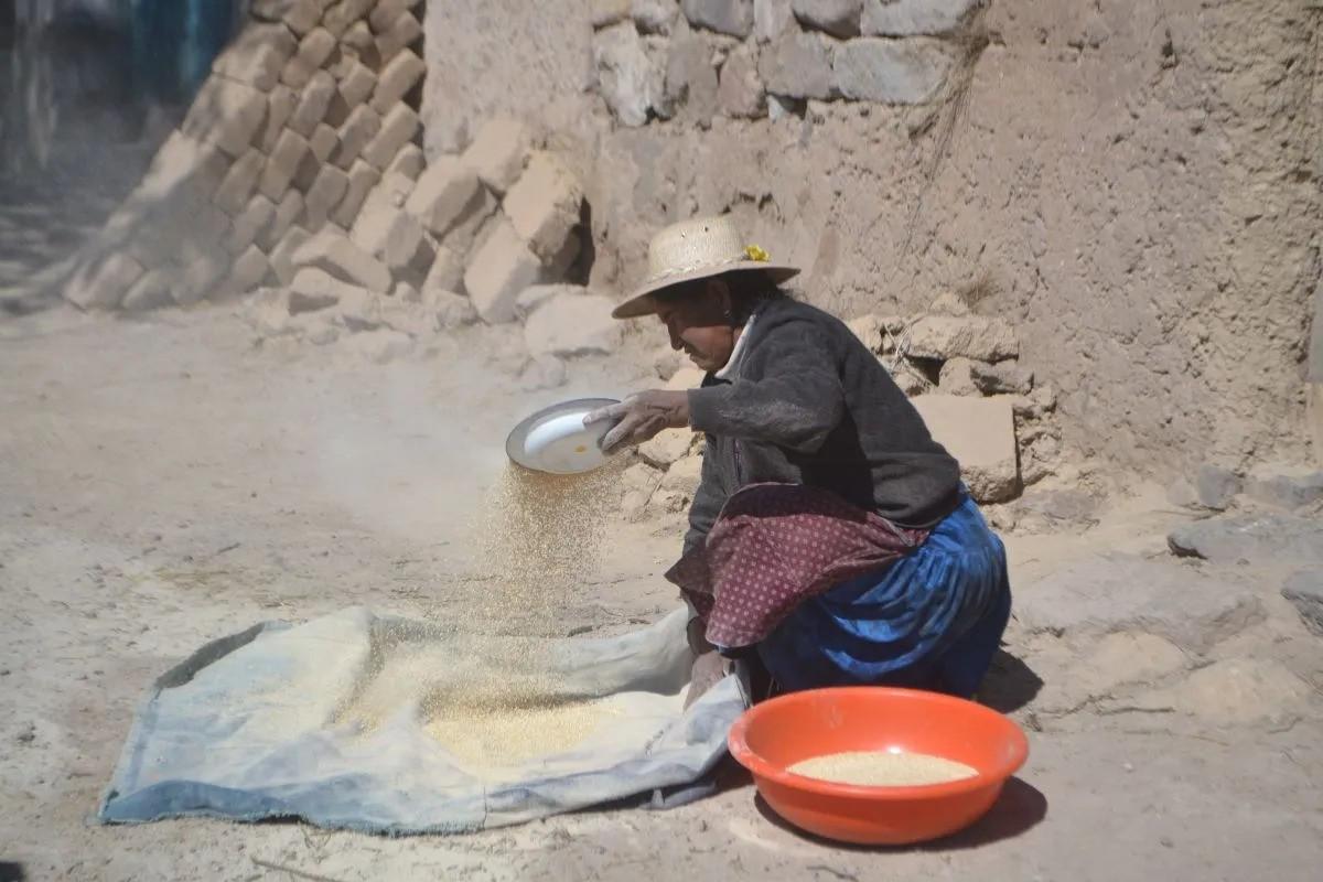 Chalgua y Aguaquiza son comunidades del Altiplano Sur dedicadas a la producción de quinua real