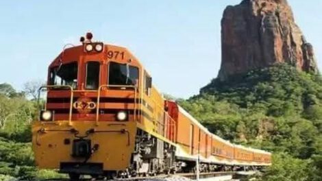 El ferrobús vuelve a la Chiquitania