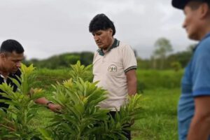 Revistas afirman que está en marcha un plan para capturar a Evo