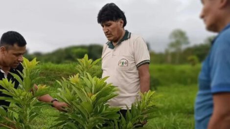 Revistas afirman que está en marcha un plan para capturar a Evo