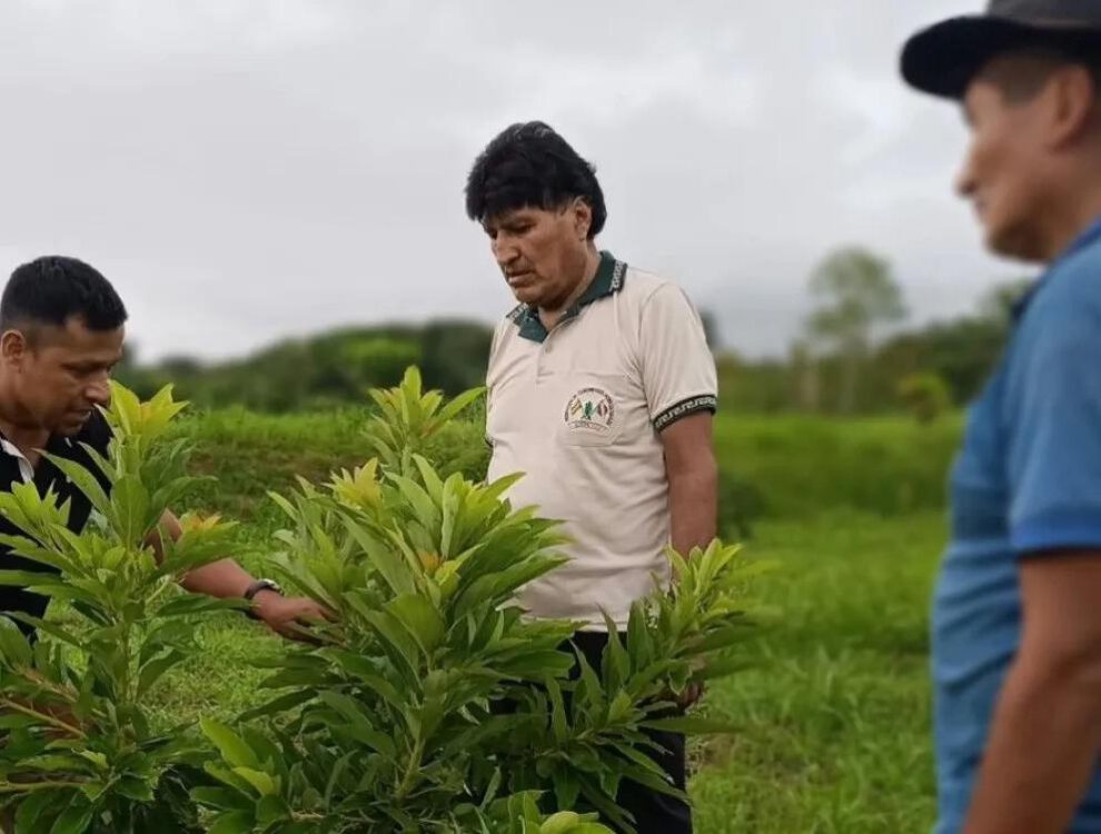 Revistas afirman que está en marcha un plan para capturar a Evo