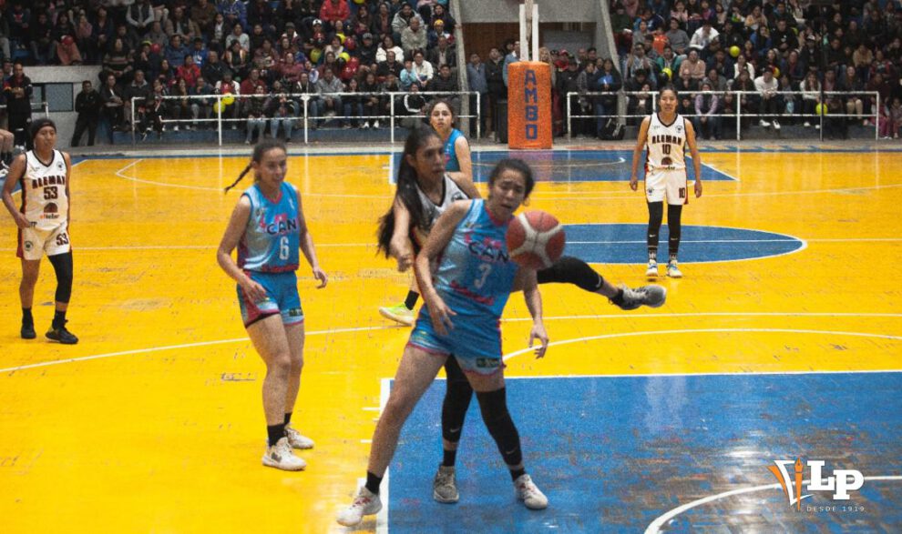 Libofem suspendido, fbb bajo la lupa del Senado, Baloncesto boliviano