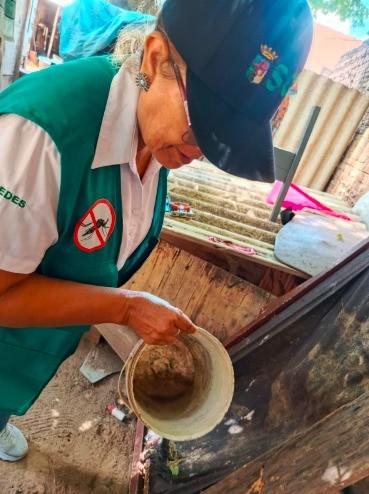 El inicio del trabajo de fumigación y limpieza en los criaderos de mosquitos