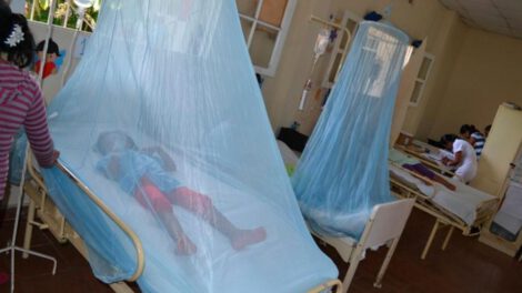 El nuevo genotipo del mosquito chikunguña aumenta el riesgo de contagio y meningitis en Santa Cruz