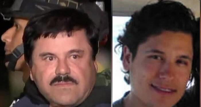 Jesús Alfredo Alfredillo Guzmán, hijo de Joaquín el Chapo Guzmán Loera