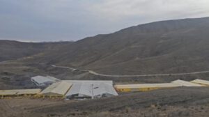 Viveros en Lagunillas, Potosí