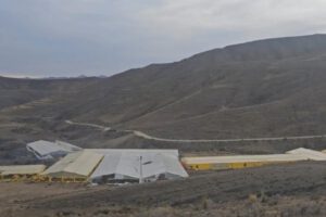 Viveros en Lagunillas, Potosí