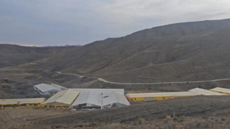 Viveros en Lagunillas, Potosí