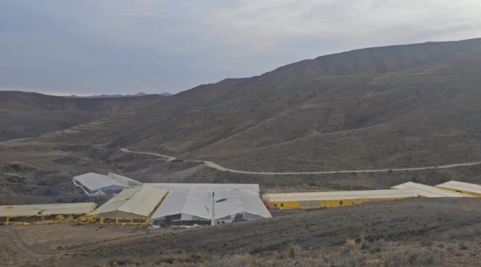 Viveros en Lagunillas, Potosí