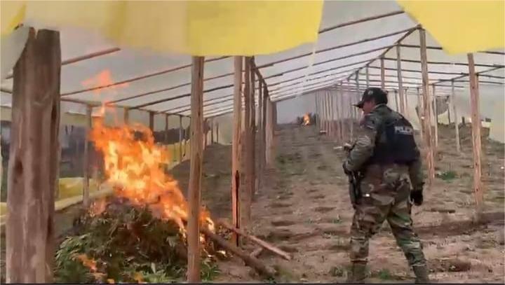 Viveros en Lagunillas, Potosí