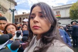 La vocera presidencial, Carla Faval, afirmó que el Decreto 5552 establece únicamente una reorganización administrativa de la Vicepresidencia