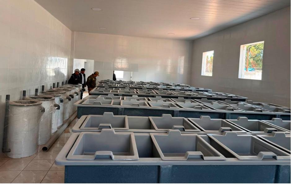 Contenedores vacíos en la planta piscícola