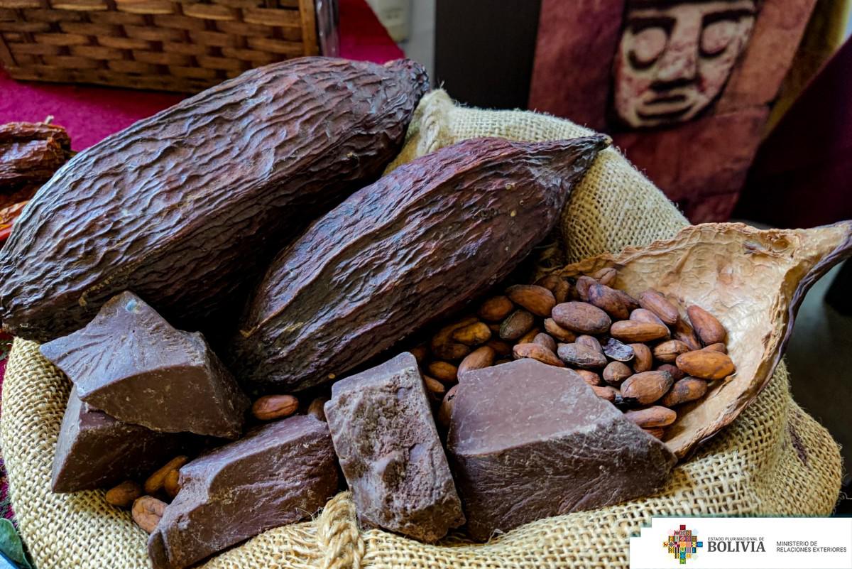 Cacao expuesto en una actividad gubernamental