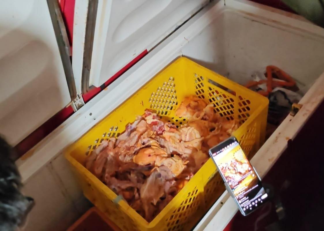 Pollo en descomposición