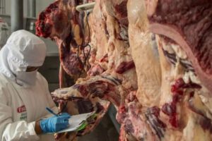 Los ganaderos de Bolivia exportaron carne bovina