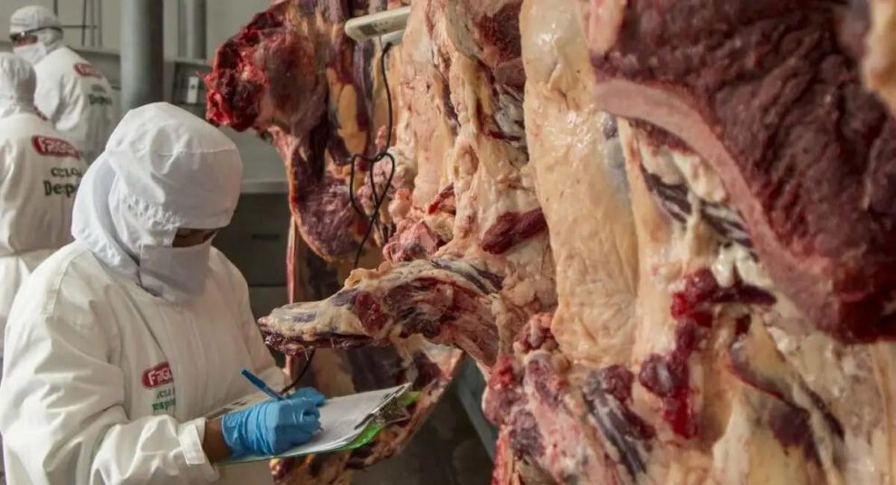 Los ganaderos de Bolivia exportaron carne bovina
