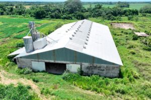 La empresa fue creada en el Gobierno de Arce