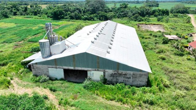 La empresa fue creada en el Gobierno de Arce