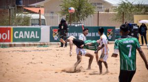 Palma Verde junto a Atlético Pumas