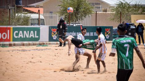 Palma Verde junto a Atlético Pumas