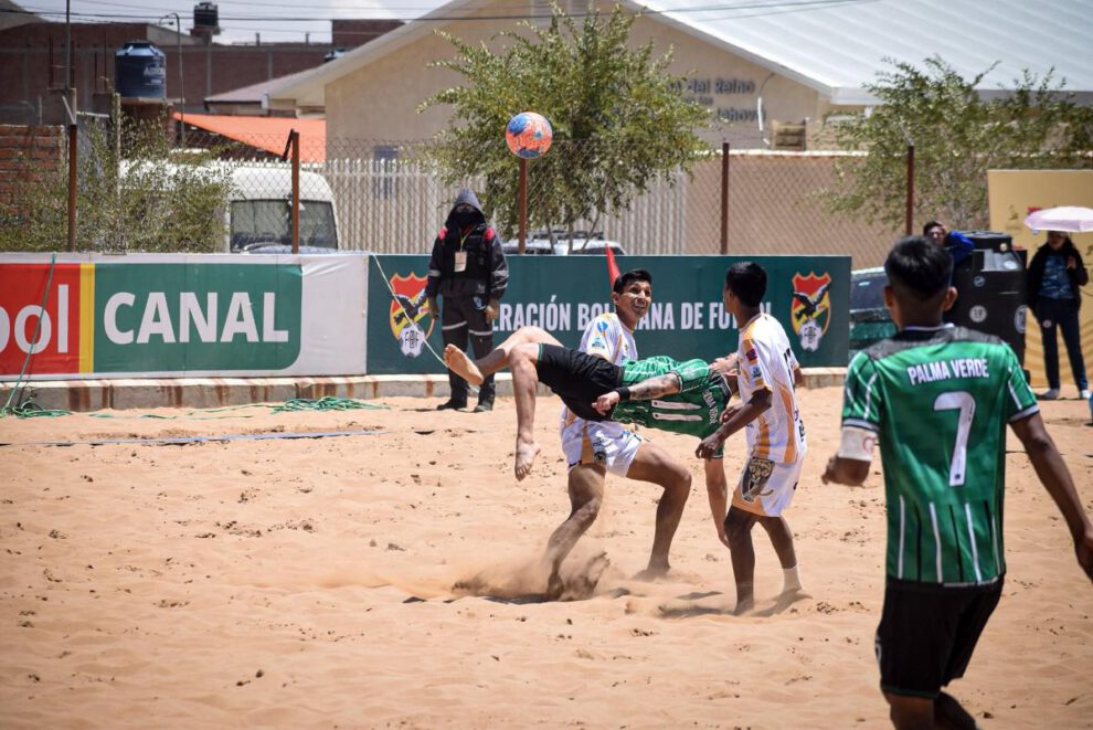 Palma Verde junto a Atlético Pumas