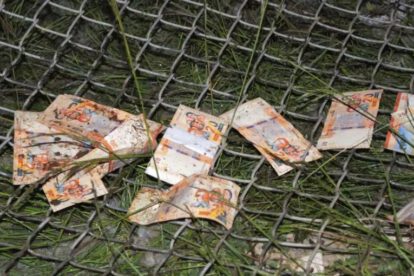 billedes bolivianos