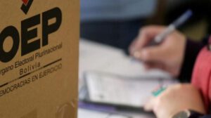 Elecciones Subnacionales