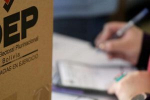 Elecciones Subnacionales