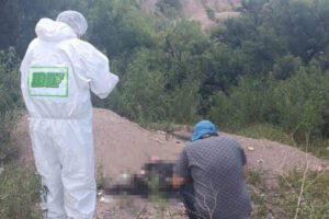 personas sacando foto