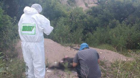 personas sacando foto