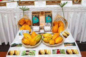 Muestras de cacao
