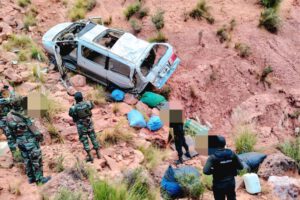 Incautación de marihuana Oruro-Potosí