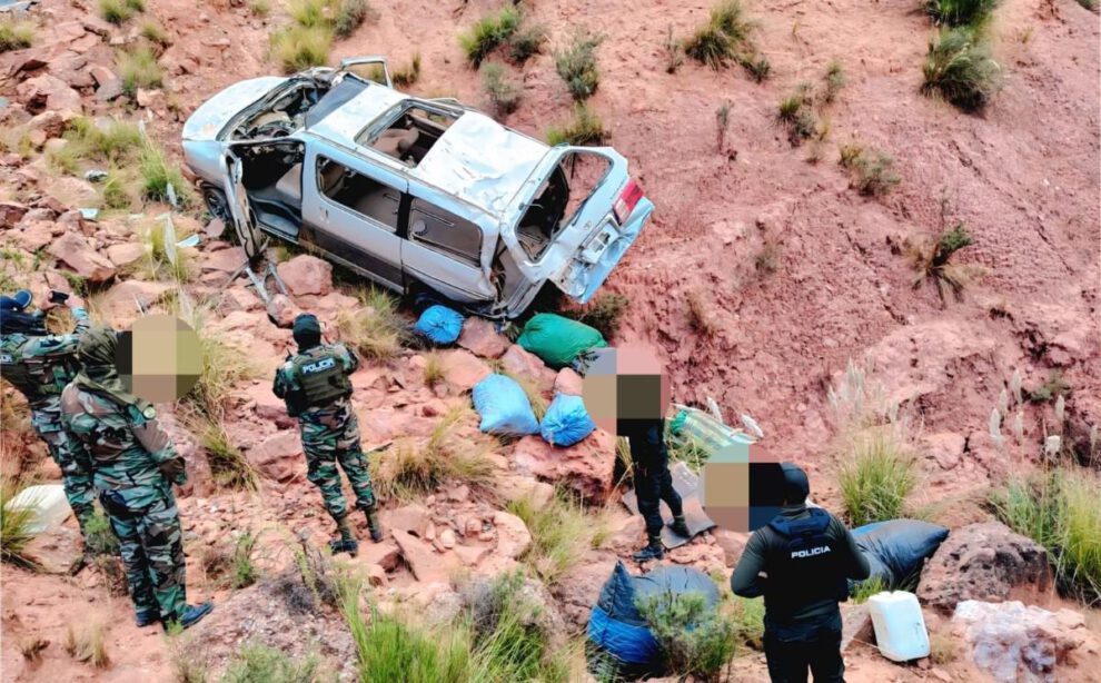 Incautación de marihuana Oruro-Potosí