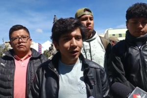 La Plataforma Ciudadanas presentó un pedido formal para que la viceministra de Autonomías, Andrea Barrientos, sea removida de su cargo