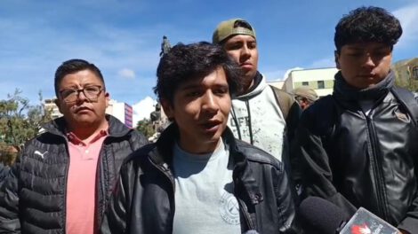 La Plataforma Ciudadanas presentó un pedido formal para que la viceministra de Autonomías, Andrea Barrientos, sea removida de su cargo