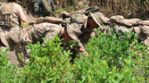 soldados arrancando hojas de coca