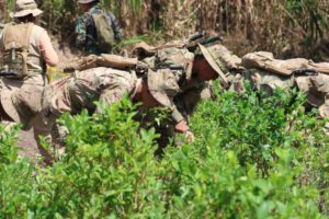 soldados arrancando hojas de coca