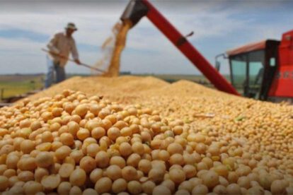 La soya boliviana