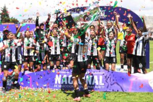 Torneo Nacional de Fútbol Femenino, Fútbol Sub-17 Damas