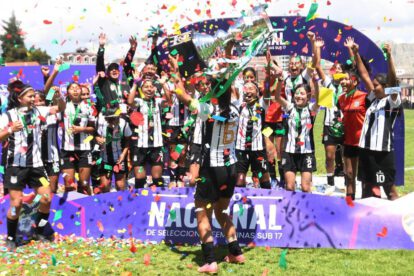 Torneo Nacional de Fútbol Femenino, Fútbol Sub-17 Damas