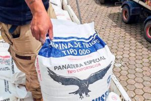 La harina fue decomisada por la Aduana Nacional
