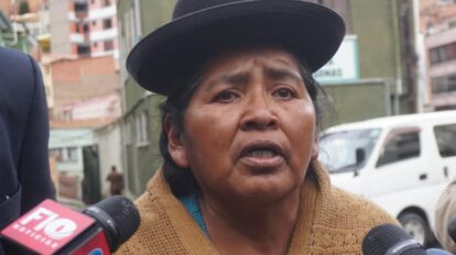 La exdirectora del Fondo Indígena, Elvira Parra