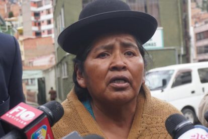 La exdirectora del Fondo Indígena, Elvira Parra