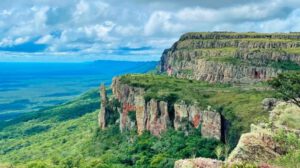 El Valle de Tucabaca, ahora bajo el estándar internacional FSC, consolidando su estatus como referente de manejo forestal responsable en el Chiquitano.